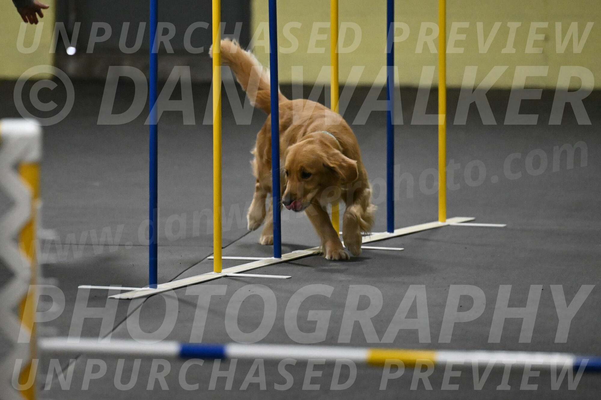 Valley-Johnson-10883