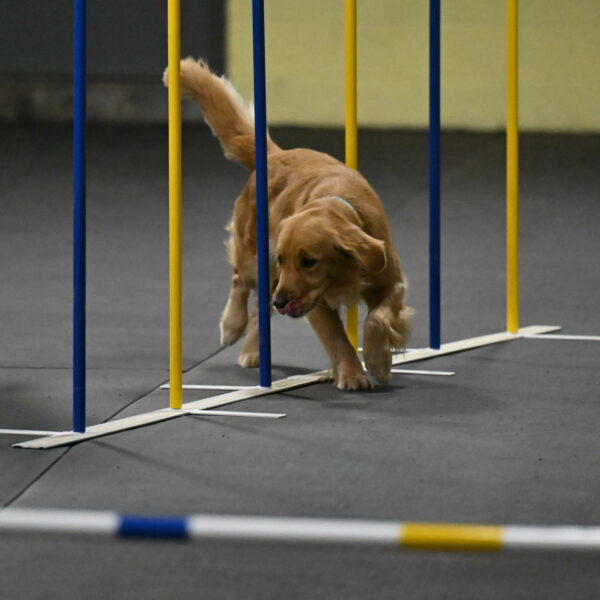 Valley-Johnson-10883