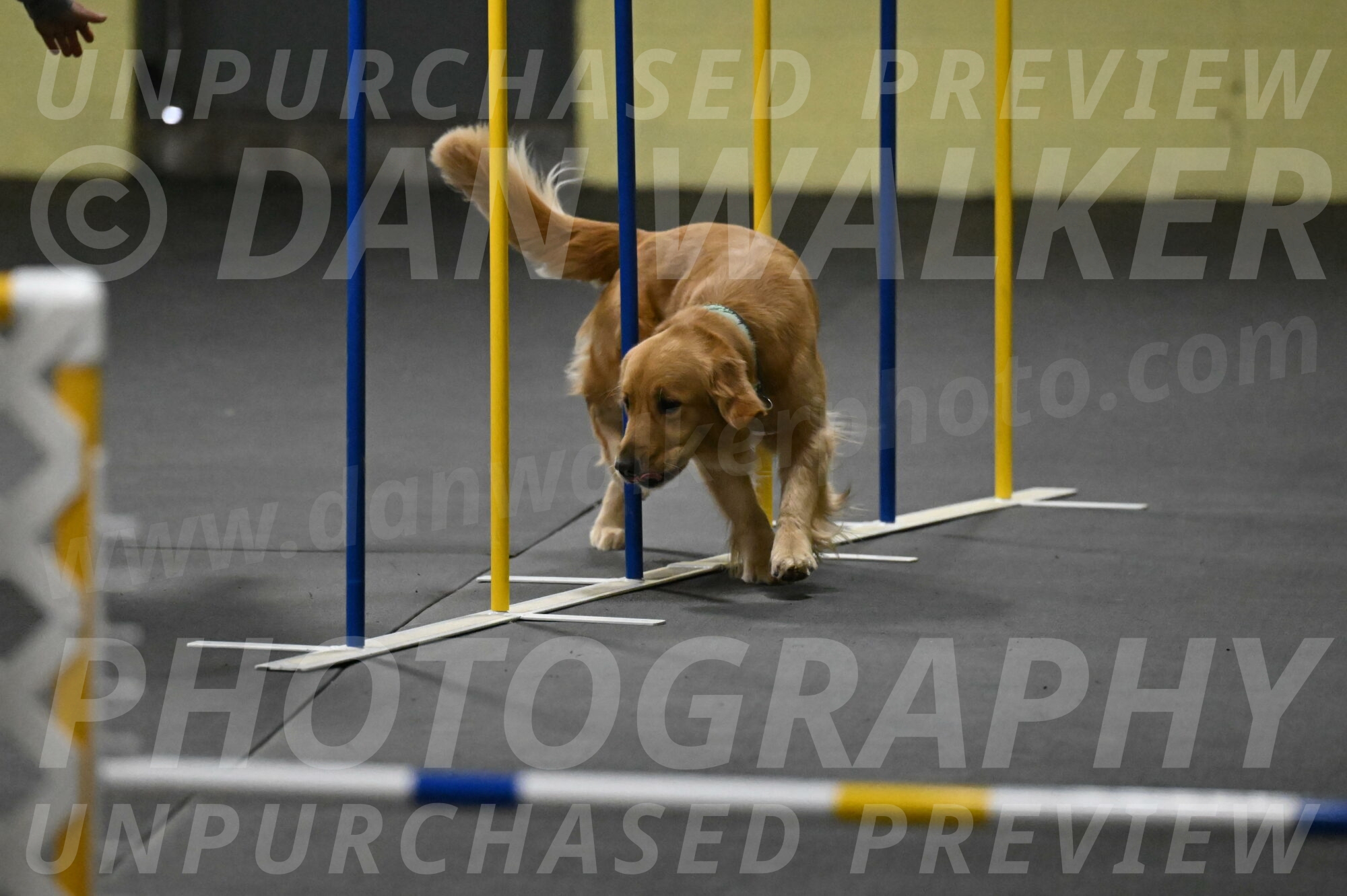 Valley-Johnson-10884