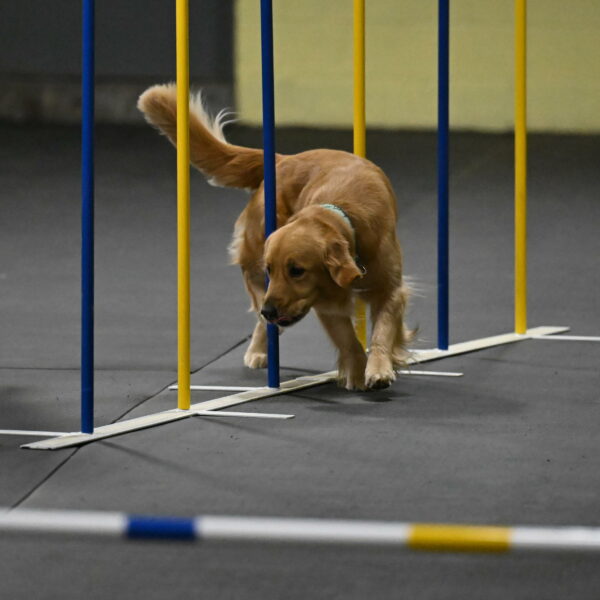 Valley-Johnson-10884