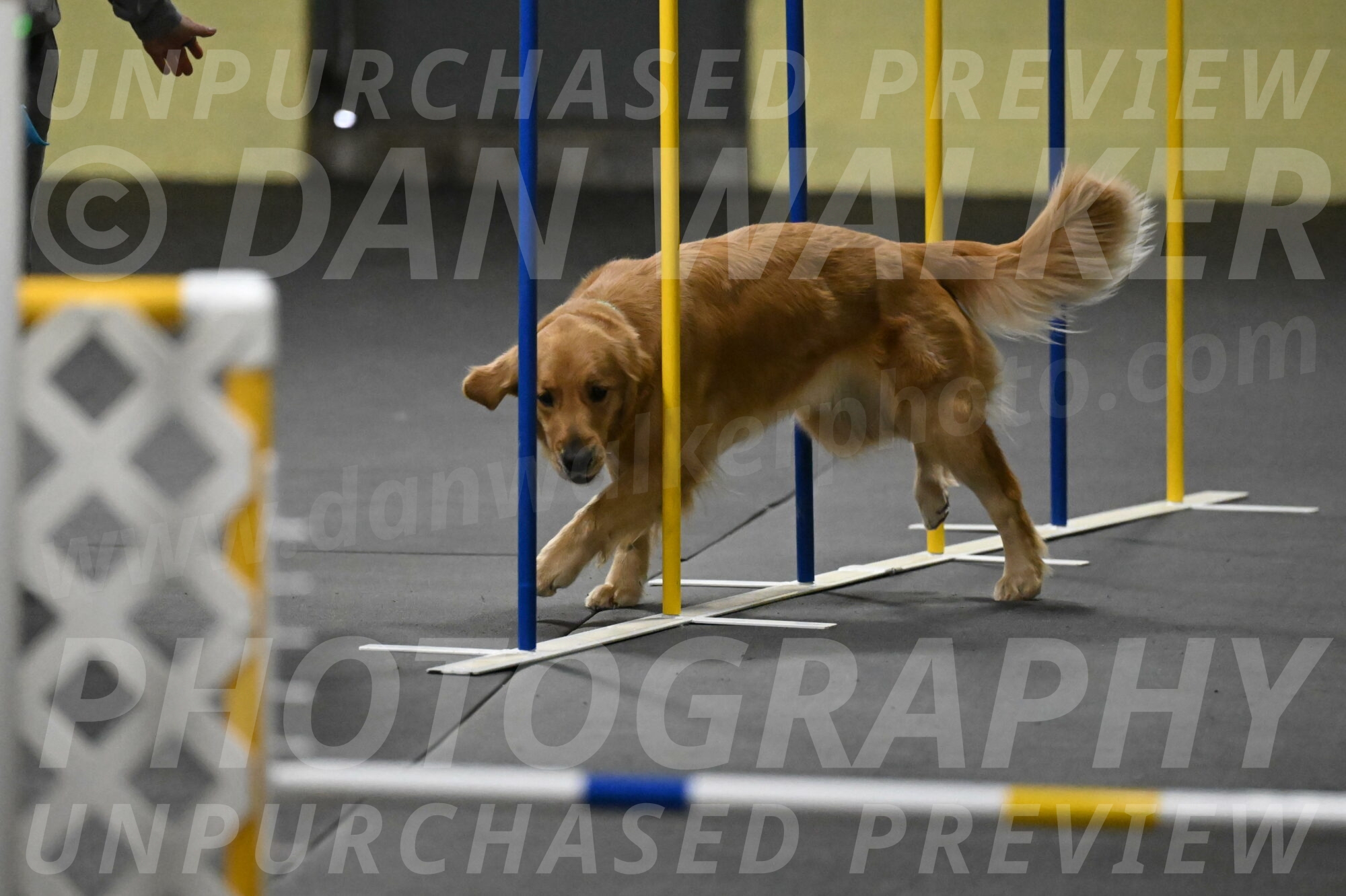 Valley-Johnson-10889