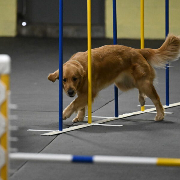 Valley-Johnson-10889