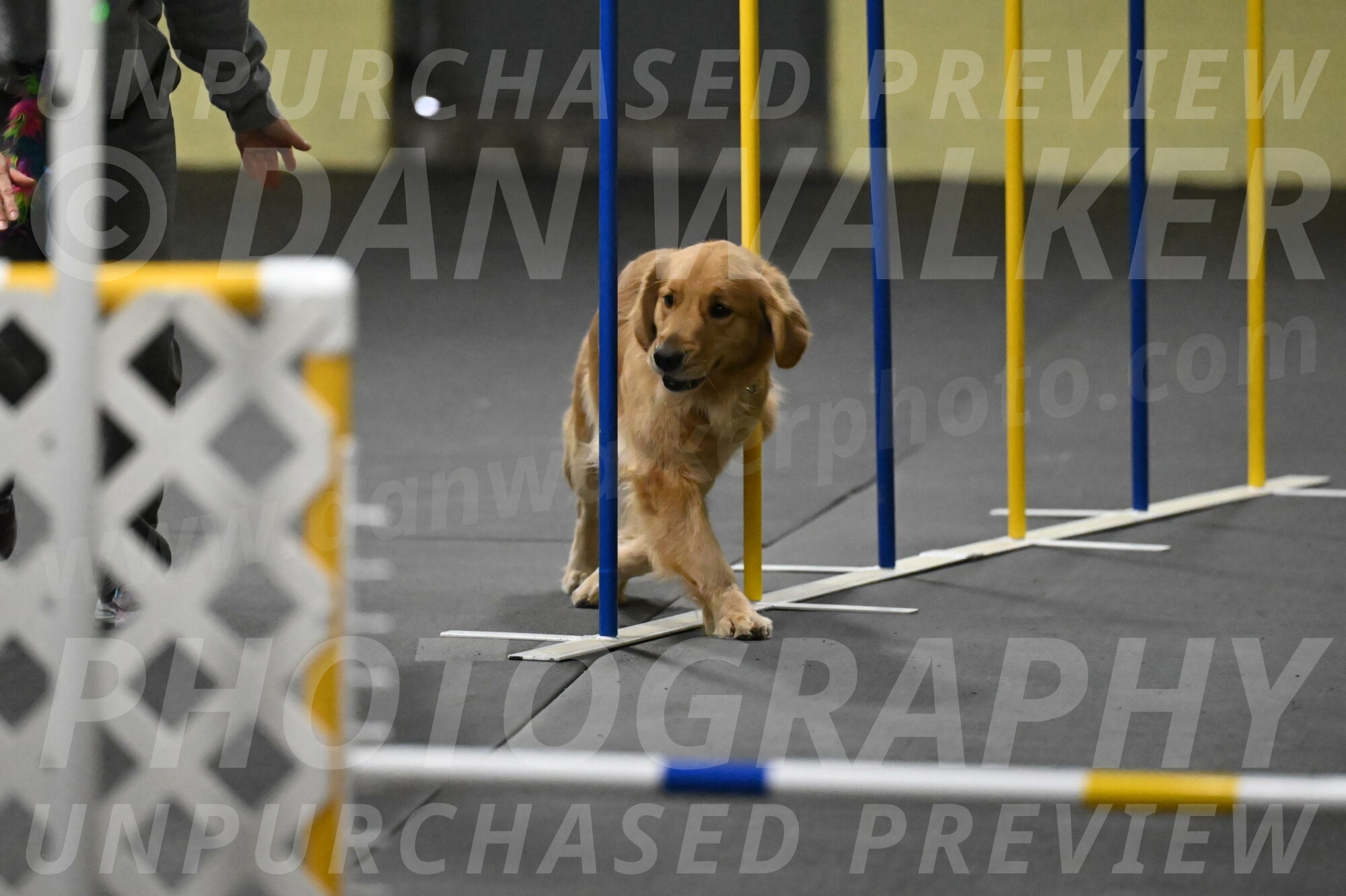 Valley-Johnson-10893