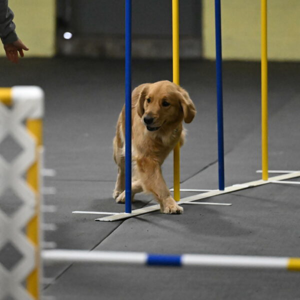 Valley-Johnson-10893