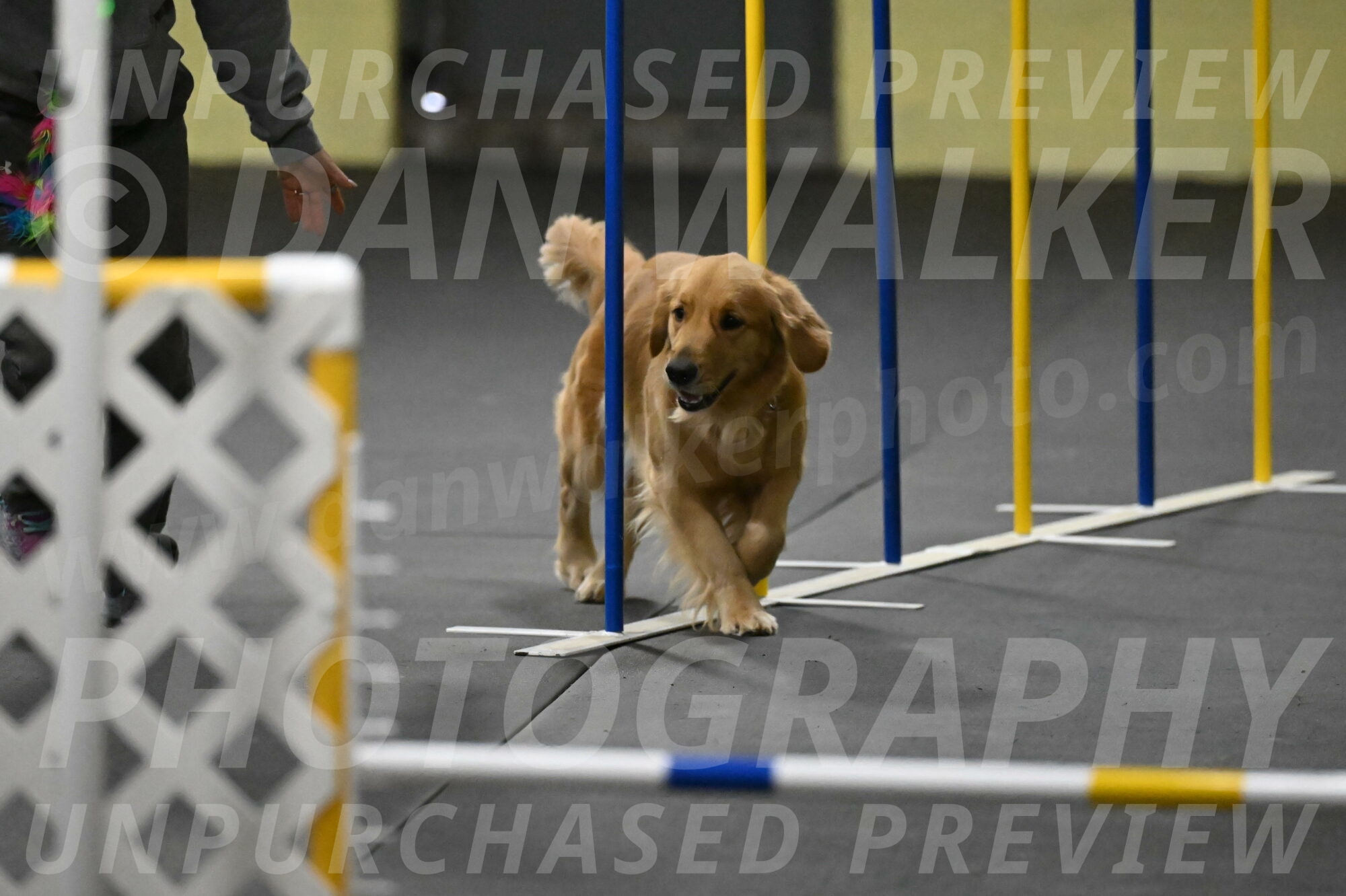 Valley-Johnson-10894