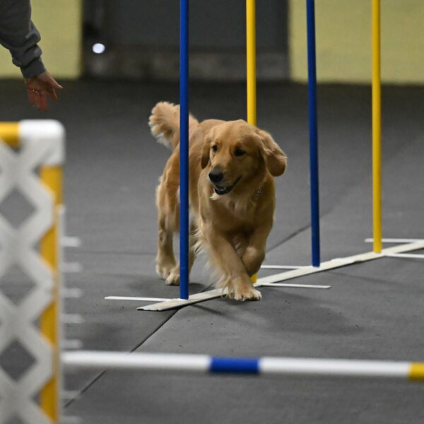 Valley-Johnson-10894