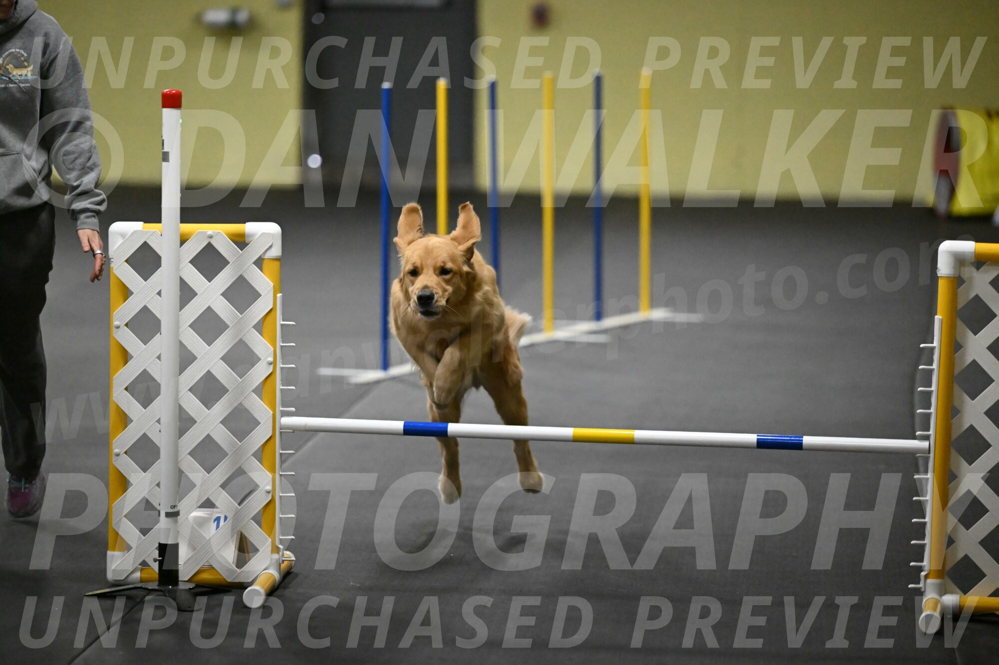 Valley-Johnson-10897