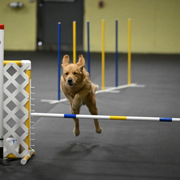 Valley-Johnson-10897