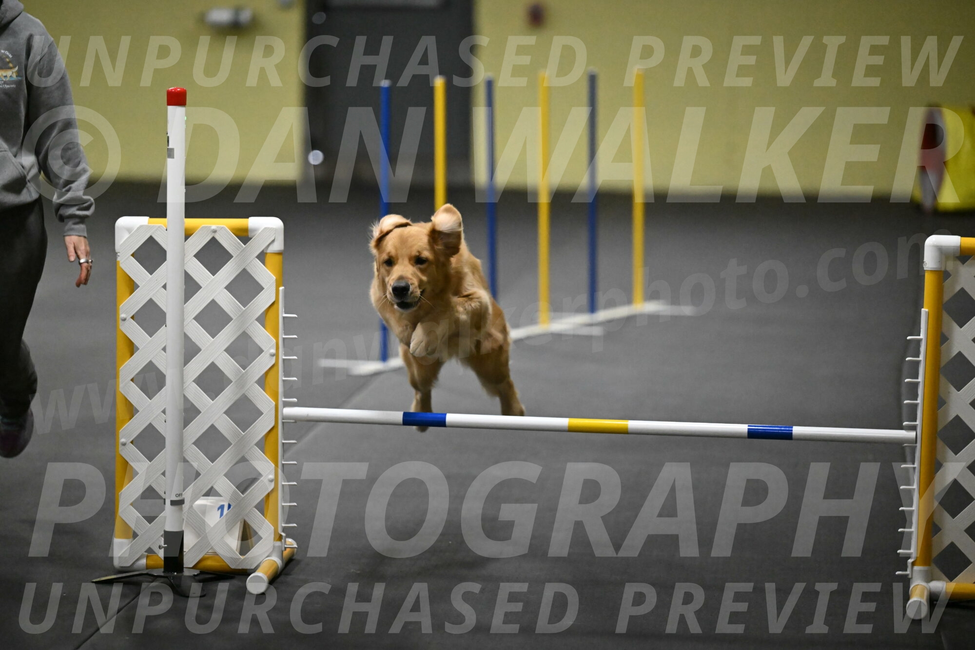 Valley-Johnson-10898