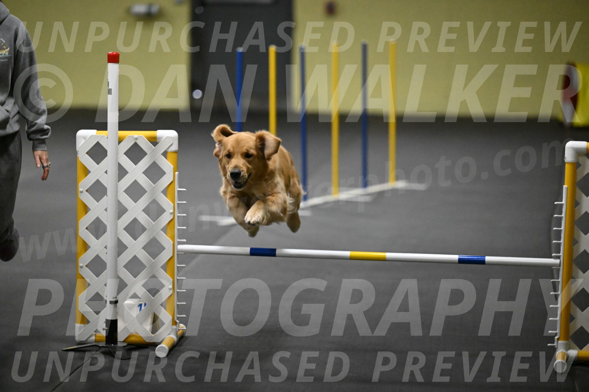 Valley-Johnson-10899