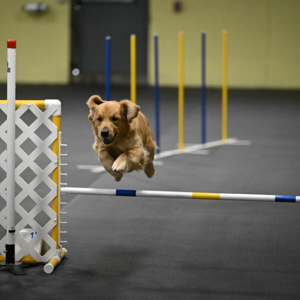 Valley-Johnson-10899