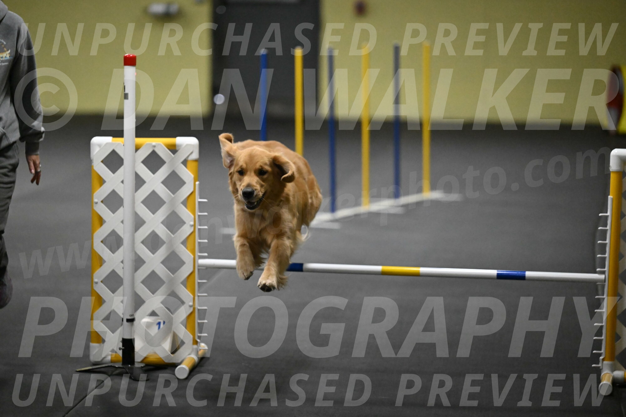 Valley-Johnson-10900