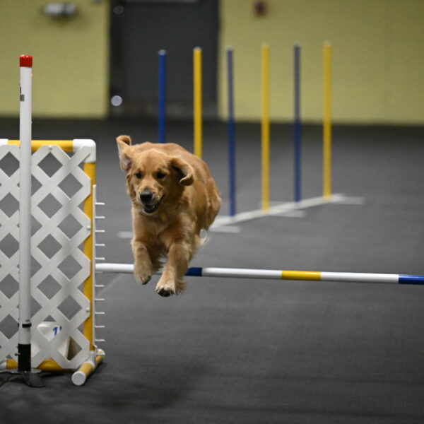 Valley-Johnson-10900