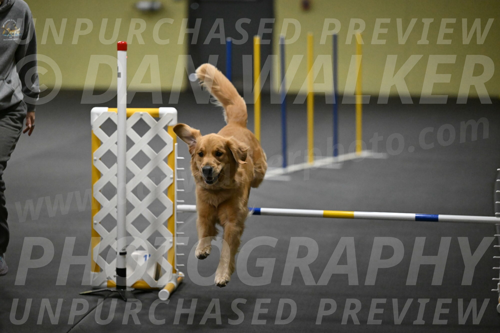 Valley-Johnson-10901