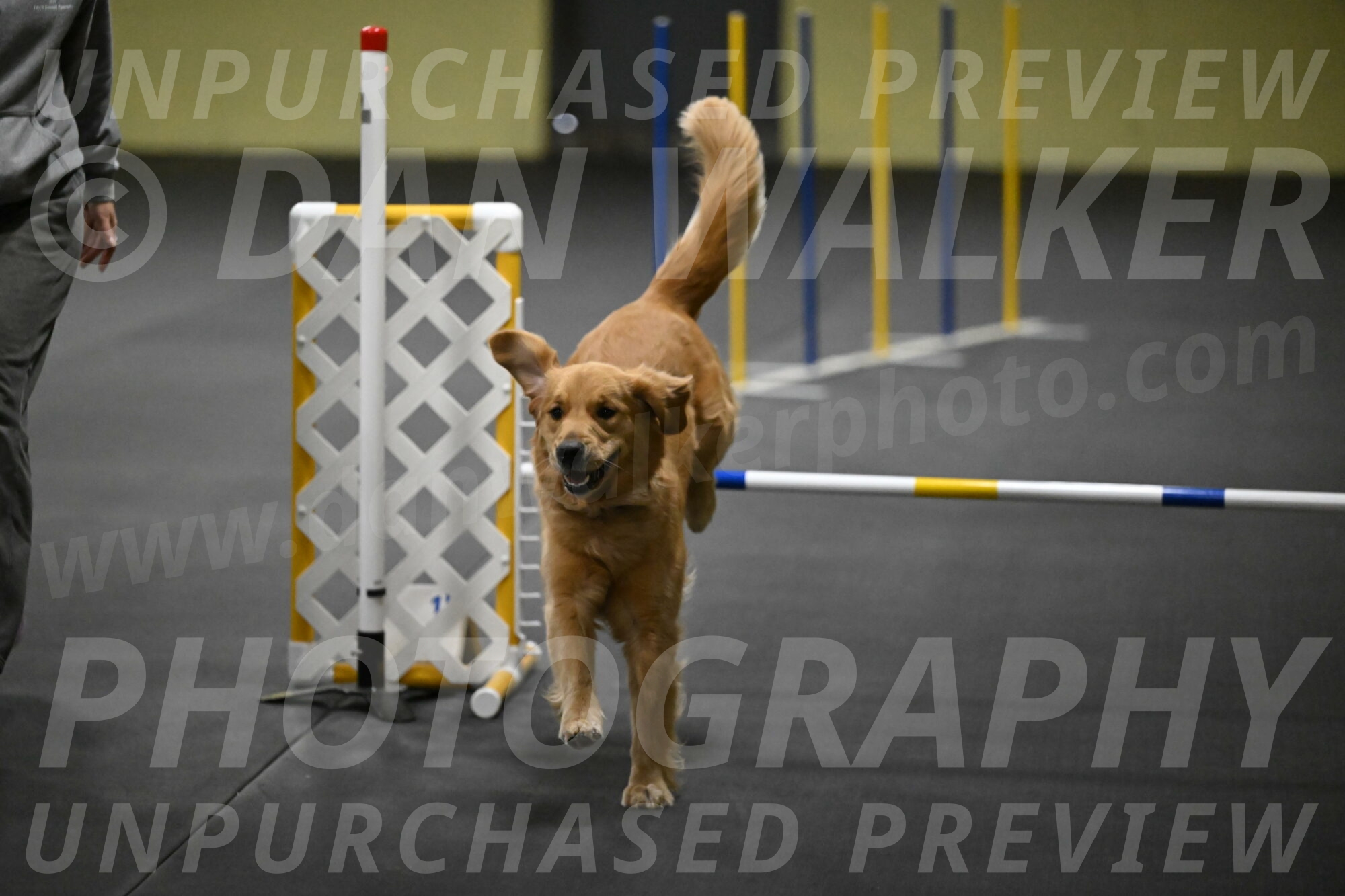 Valley-Johnson-10902