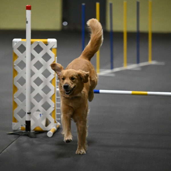 Valley-Johnson-10902