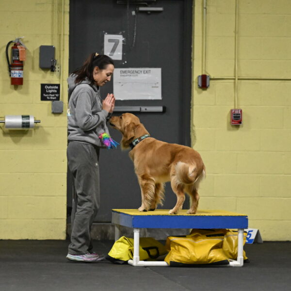 Valley-Johnson-10907