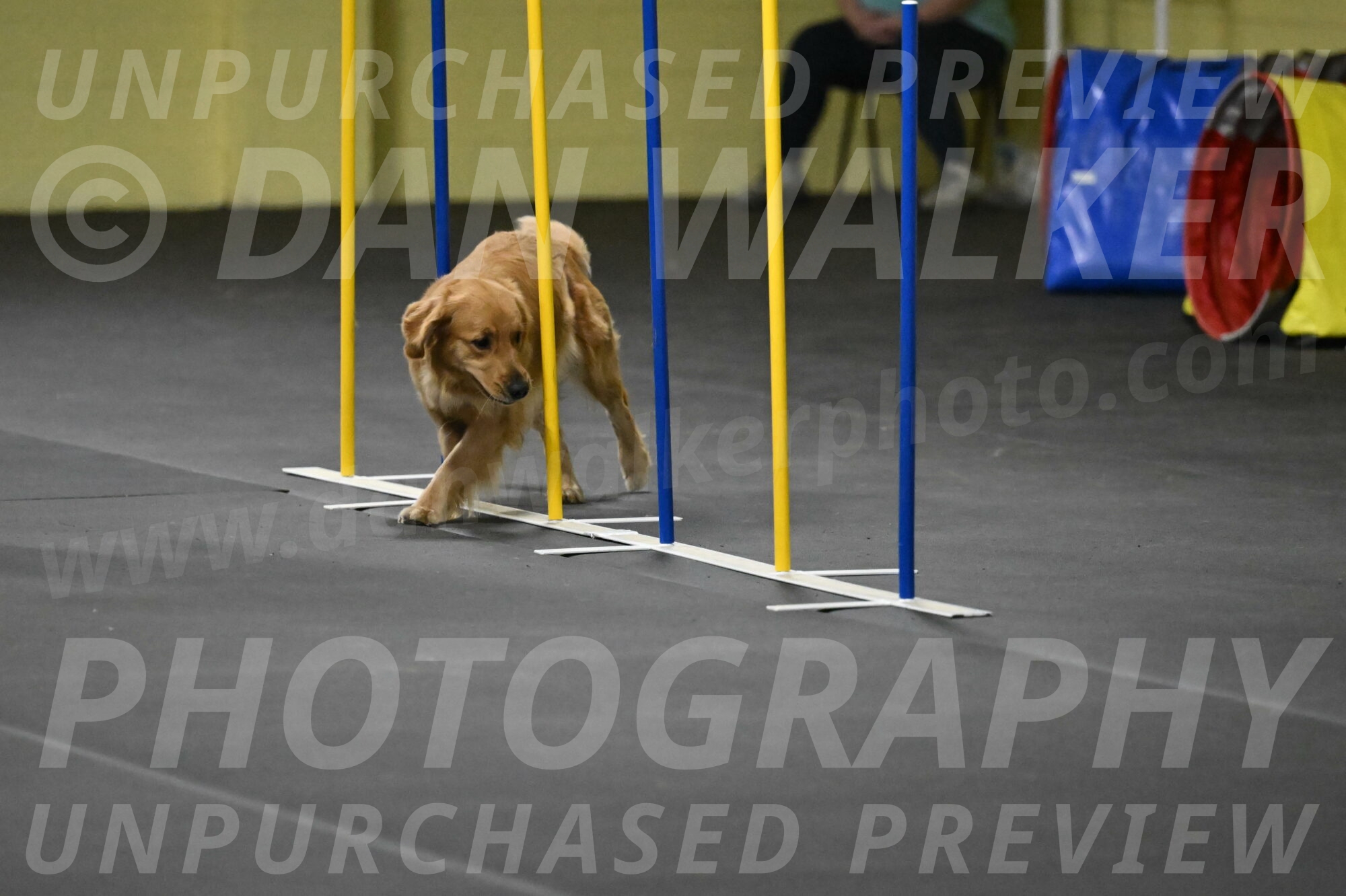 Valley-Johnson-10925