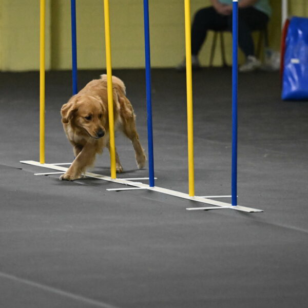 Valley-Johnson-10925