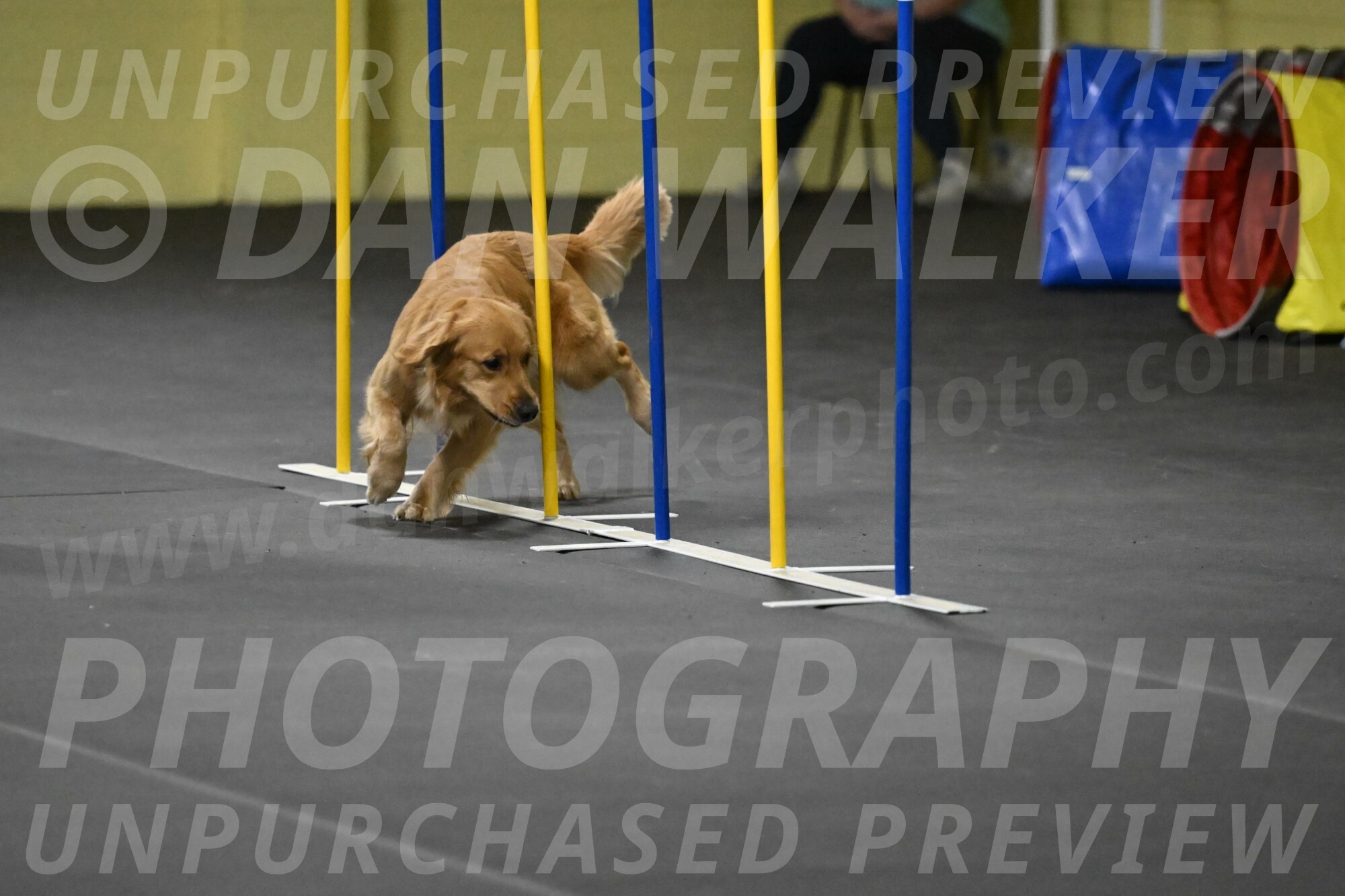 Valley-Johnson-10926