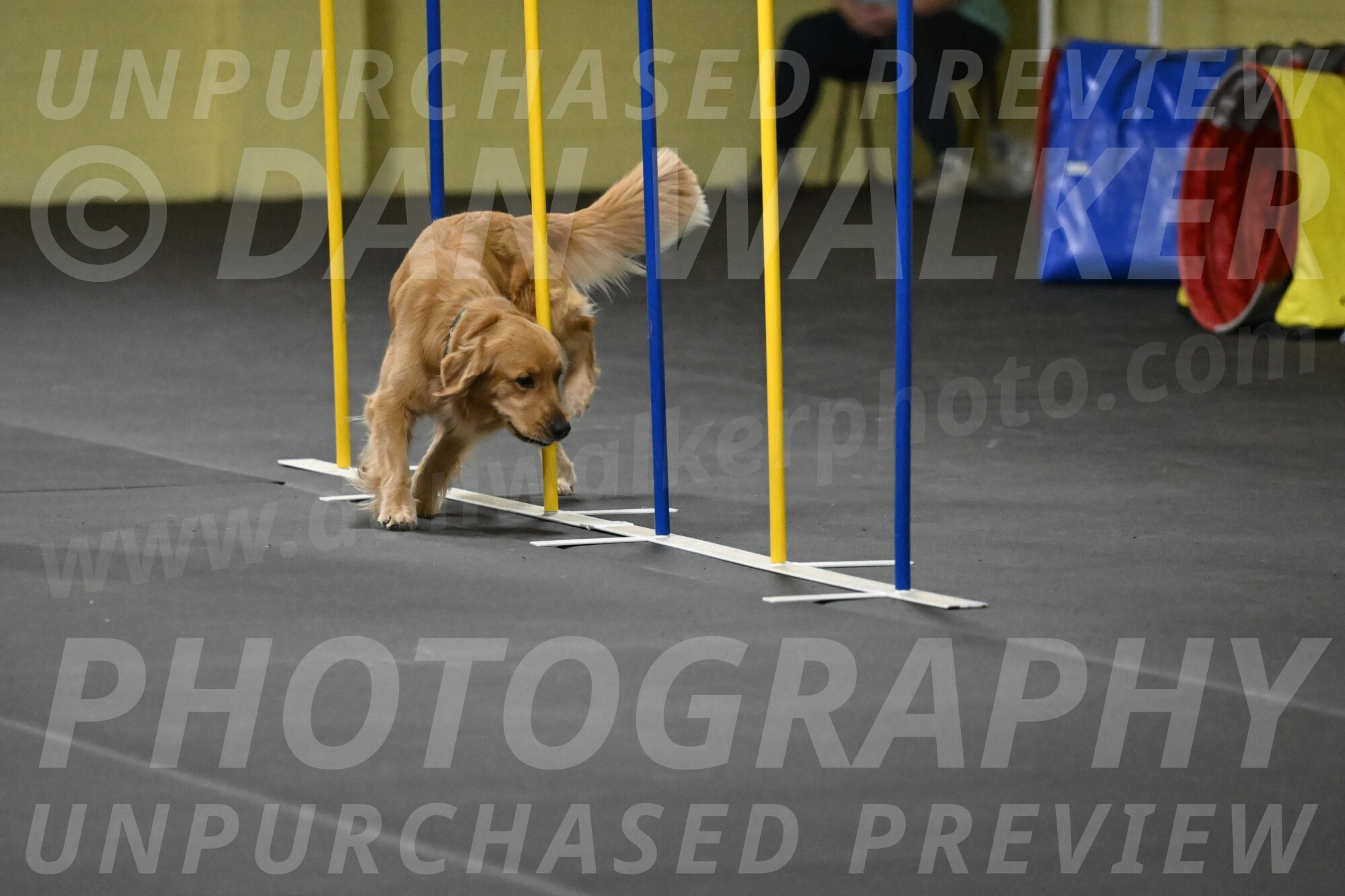 Valley-Johnson-10927