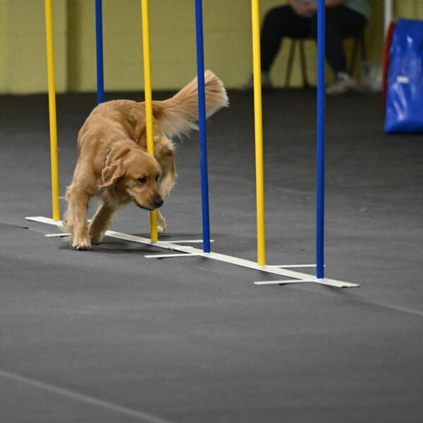 Valley-Johnson-10927