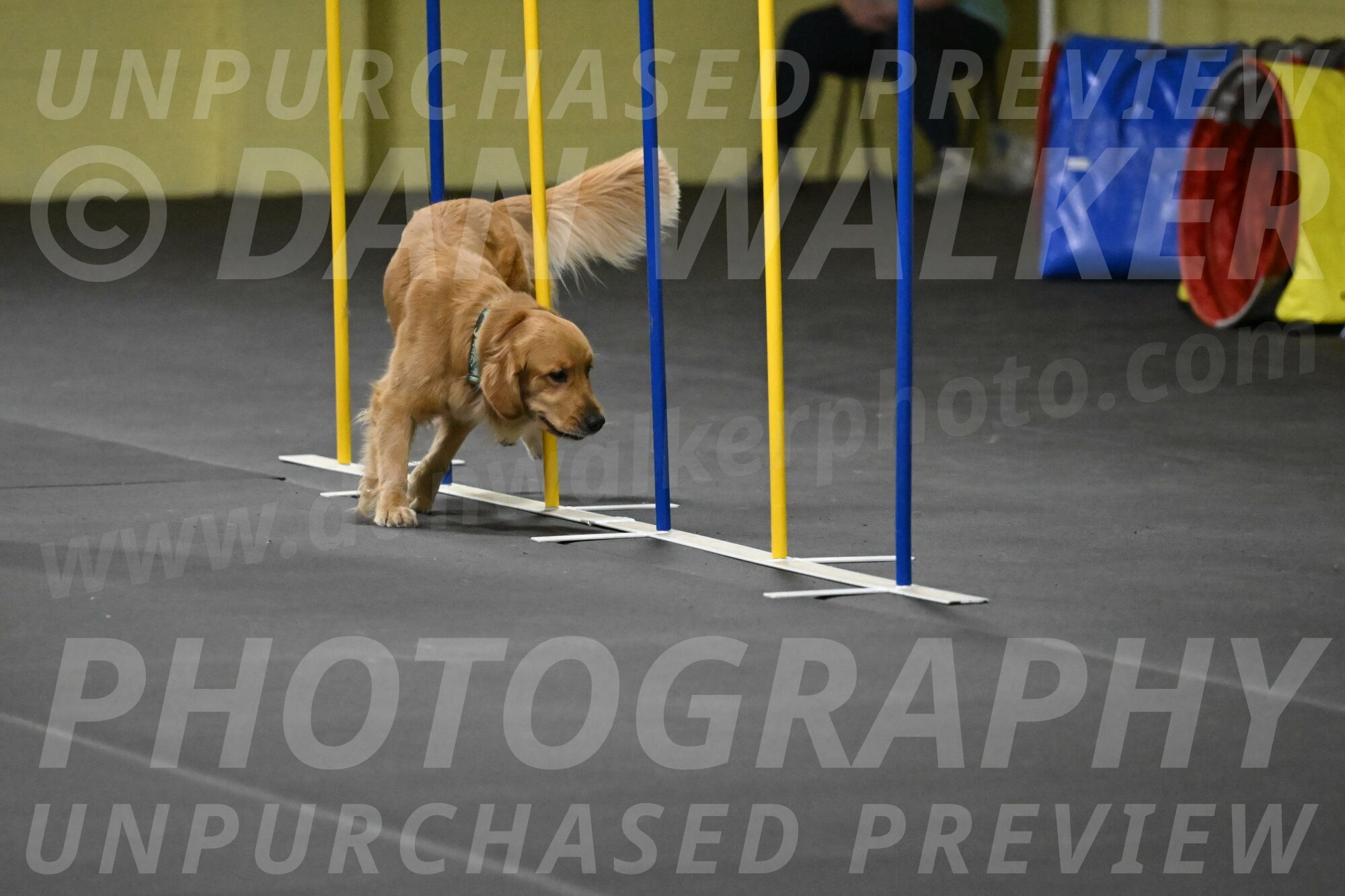 Valley-Johnson-10928