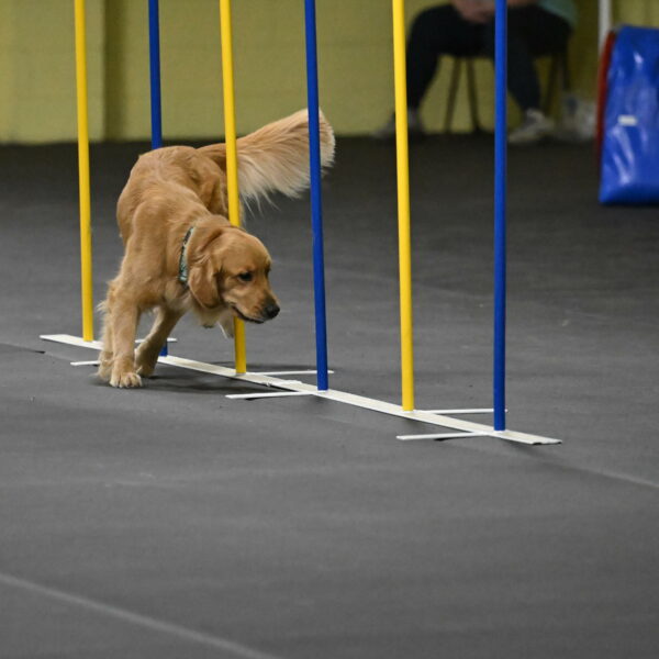 Valley-Johnson-10928