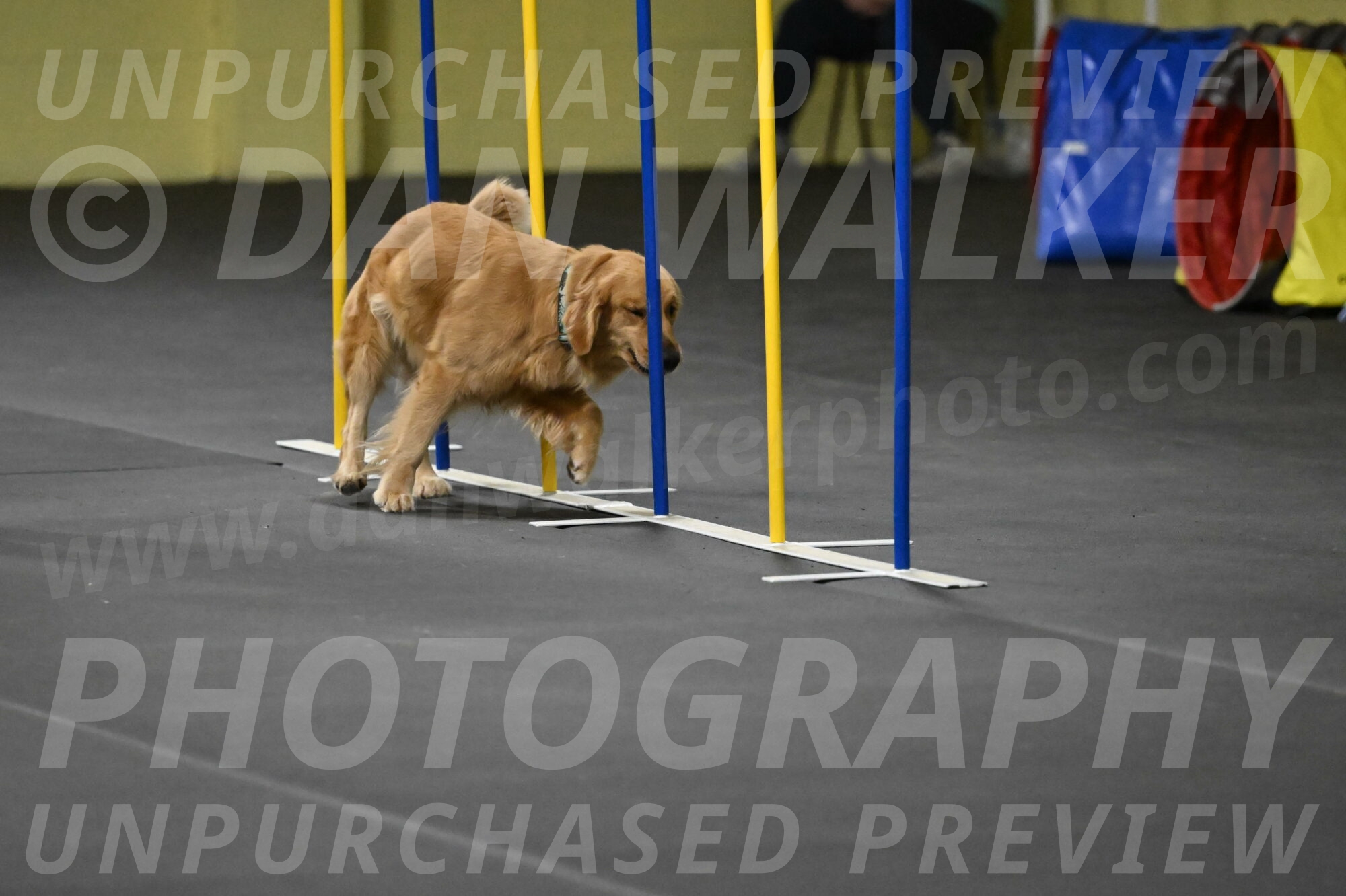 Valley-Johnson-10930