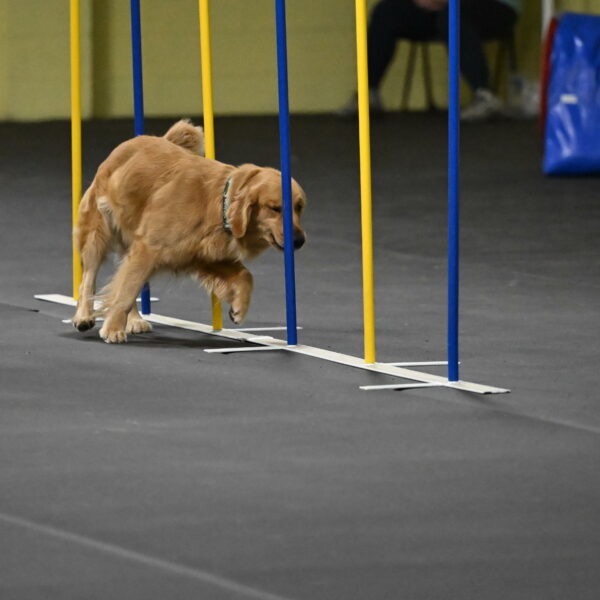 Valley-Johnson-10930