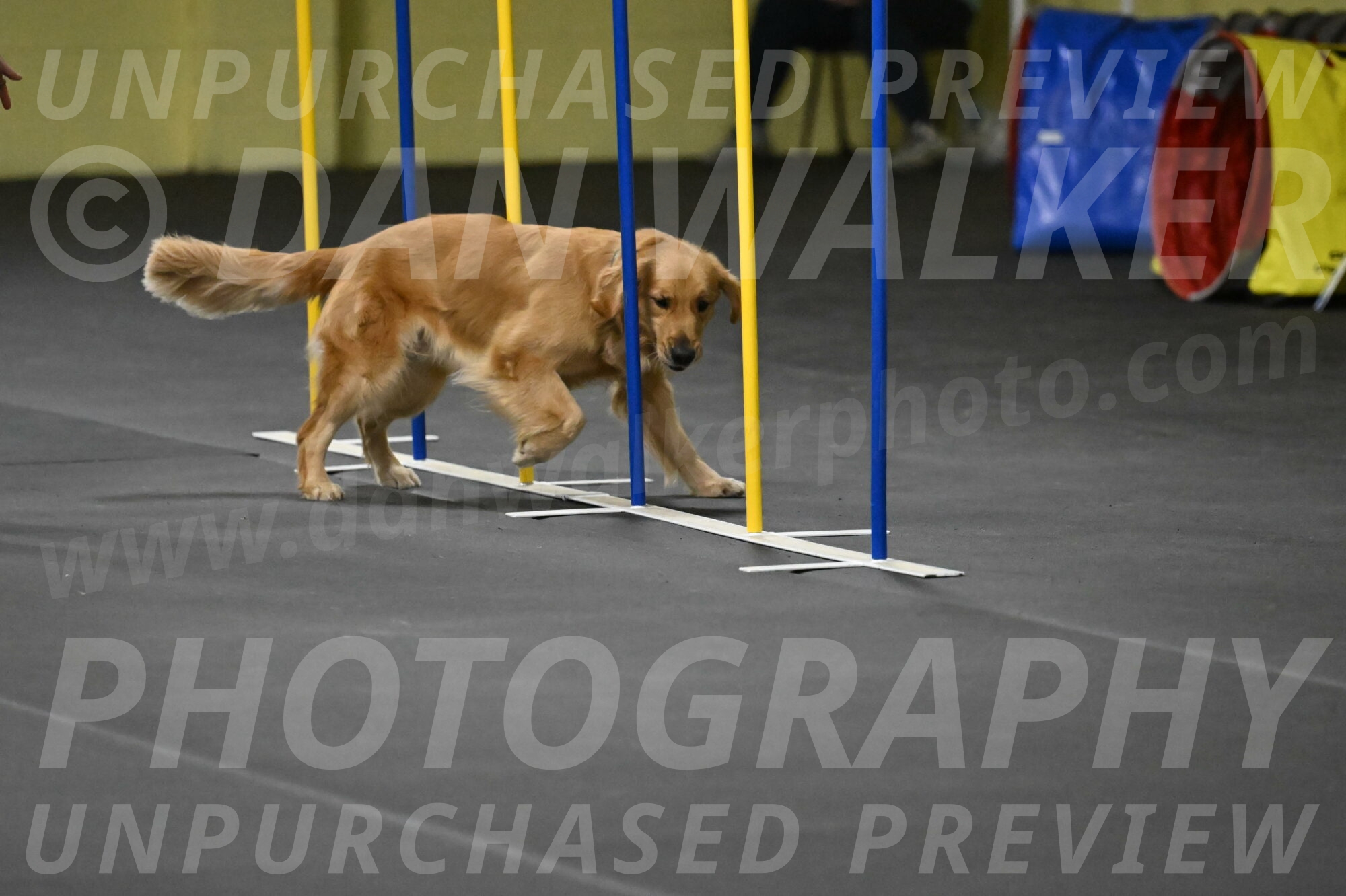 Valley-Johnson-10931