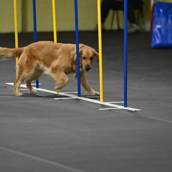 Valley-Johnson-10931