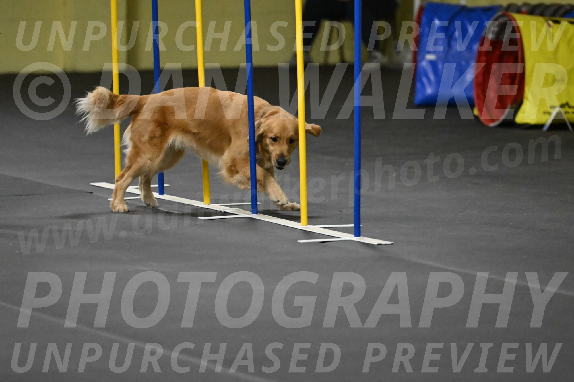 Valley-Johnson-10932