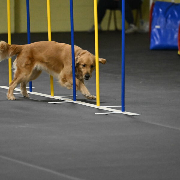 Valley-Johnson-10932