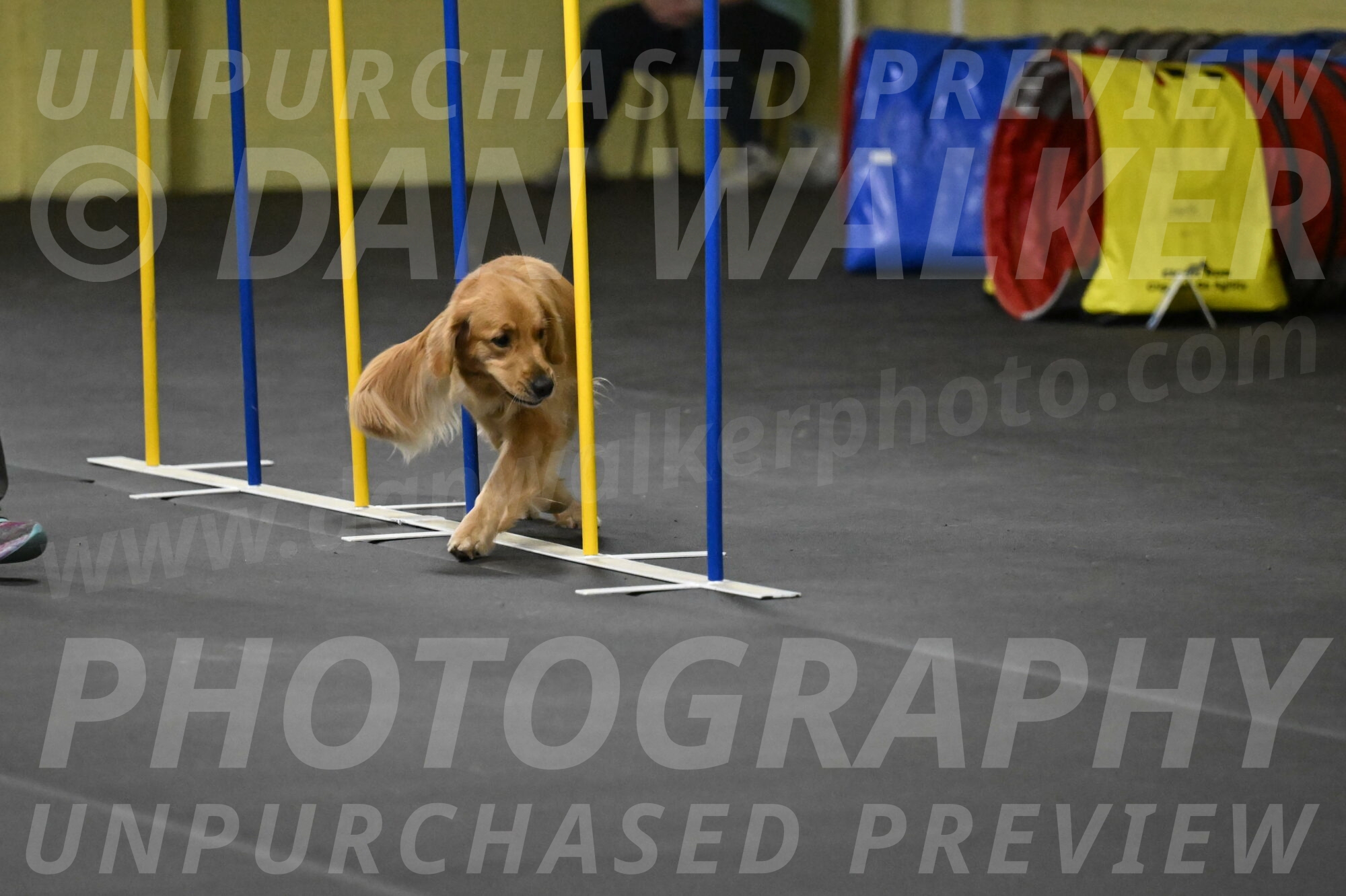 Valley-Johnson-10936