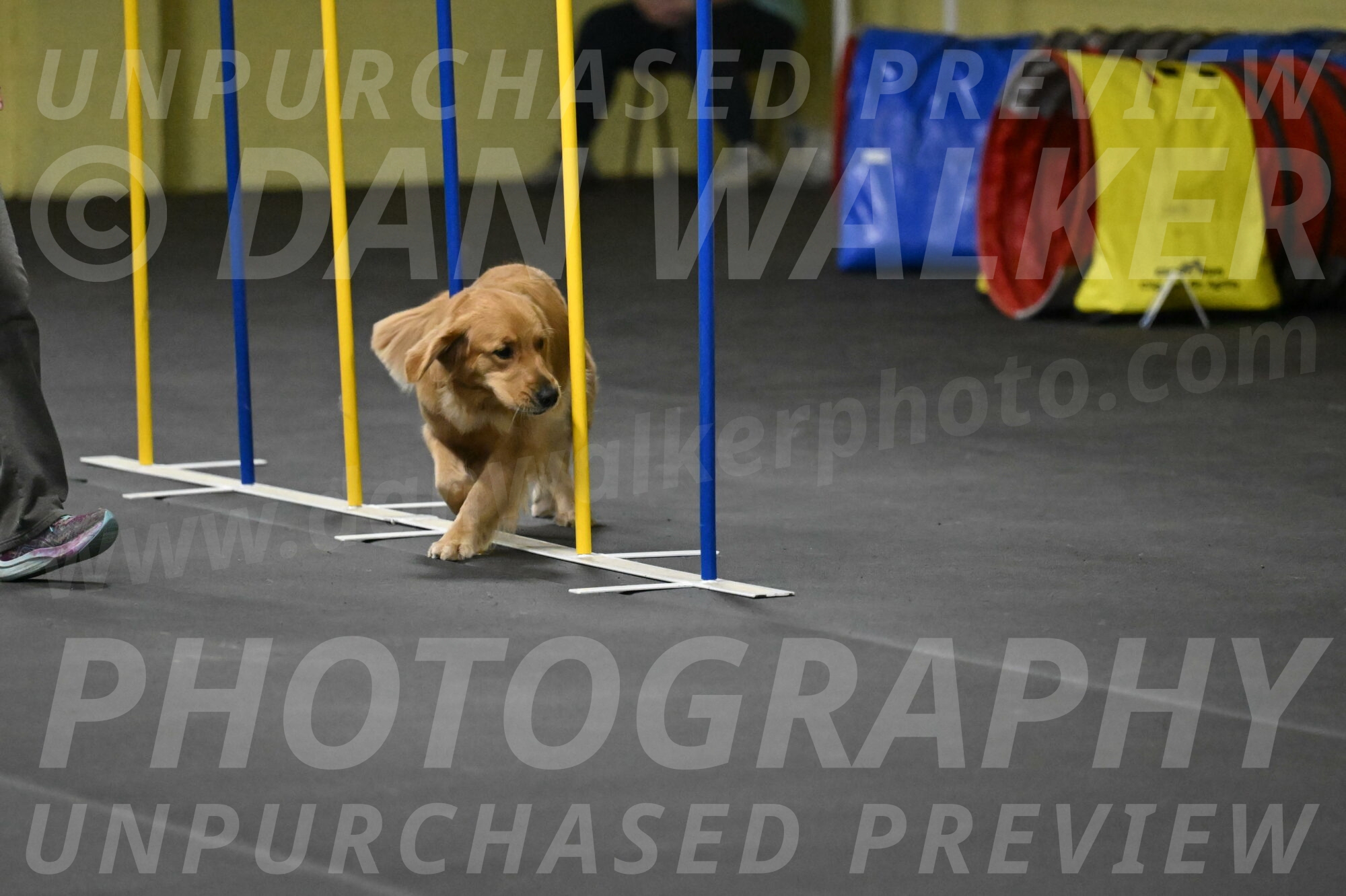 Valley-Johnson-10937