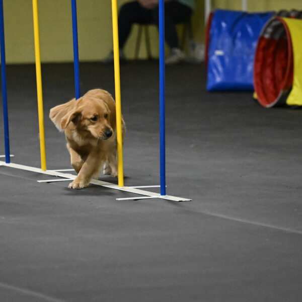 Valley-Johnson-10937