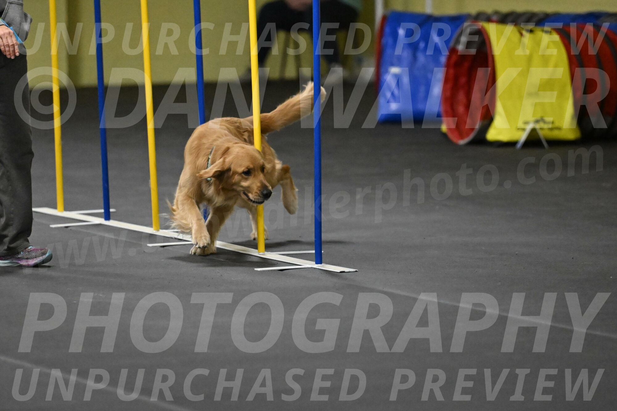 Valley-Johnson-10938