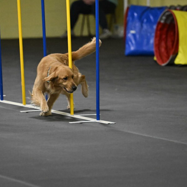 Valley-Johnson-10938