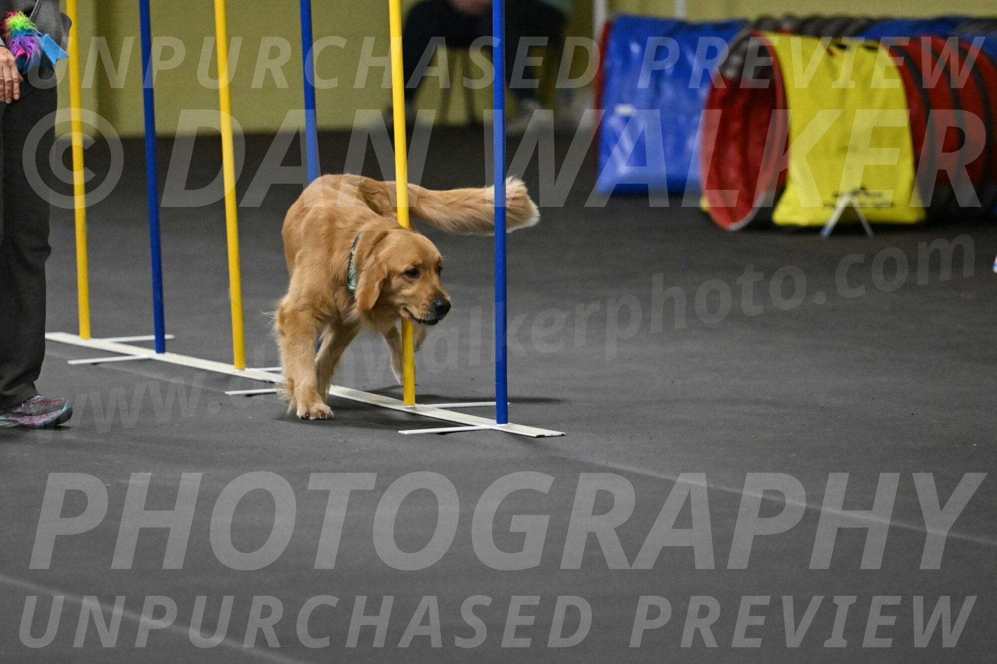 Valley-Johnson-10939