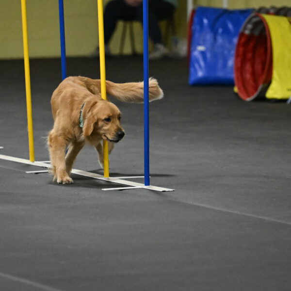 Valley-Johnson-10939