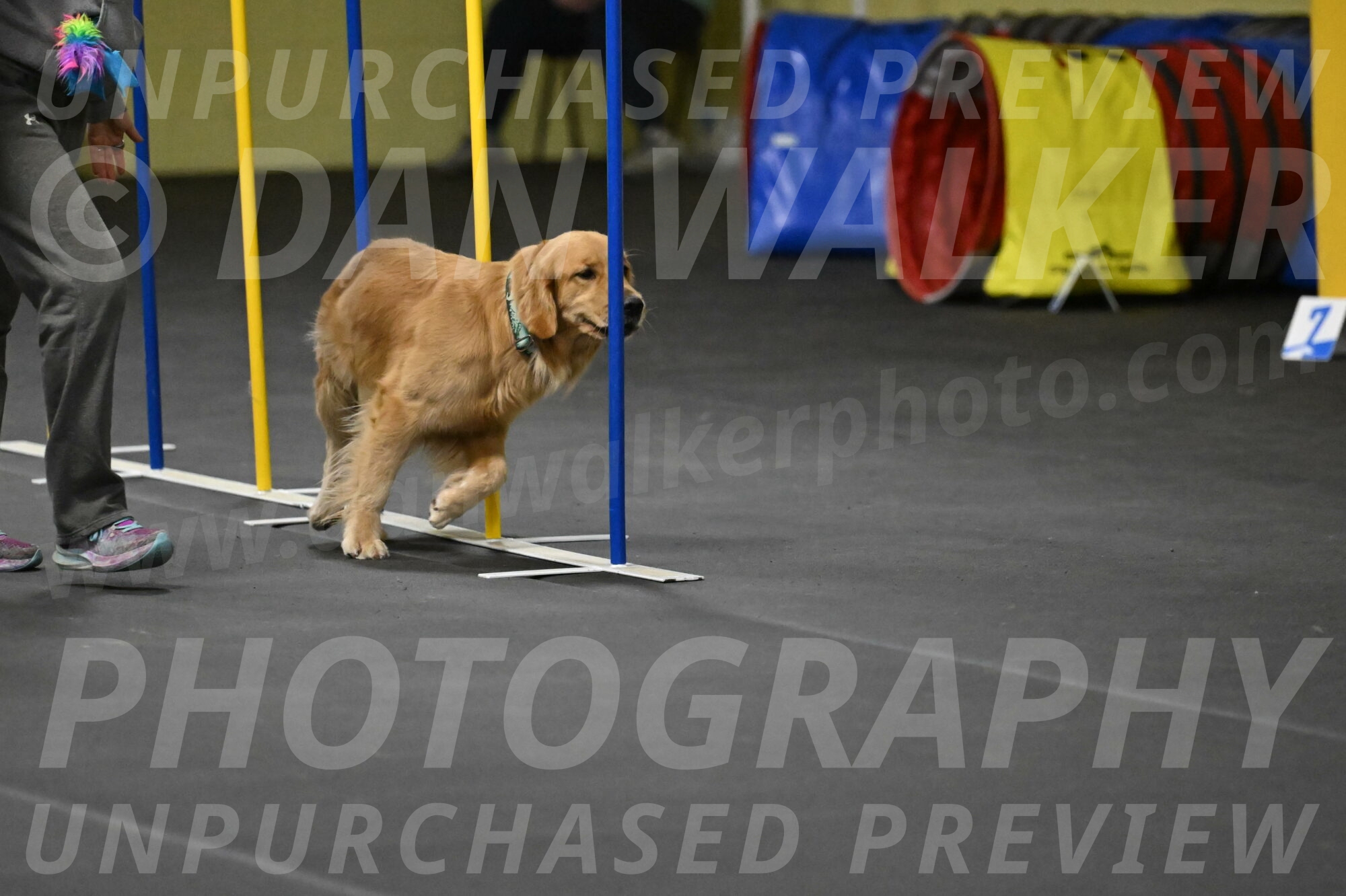 Valley-Johnson-10940