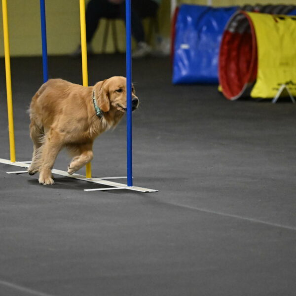 Valley-Johnson-10940