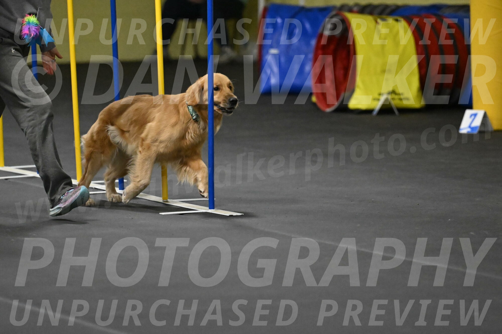 Valley-Johnson-10941