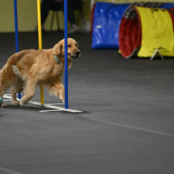 Valley-Johnson-10941