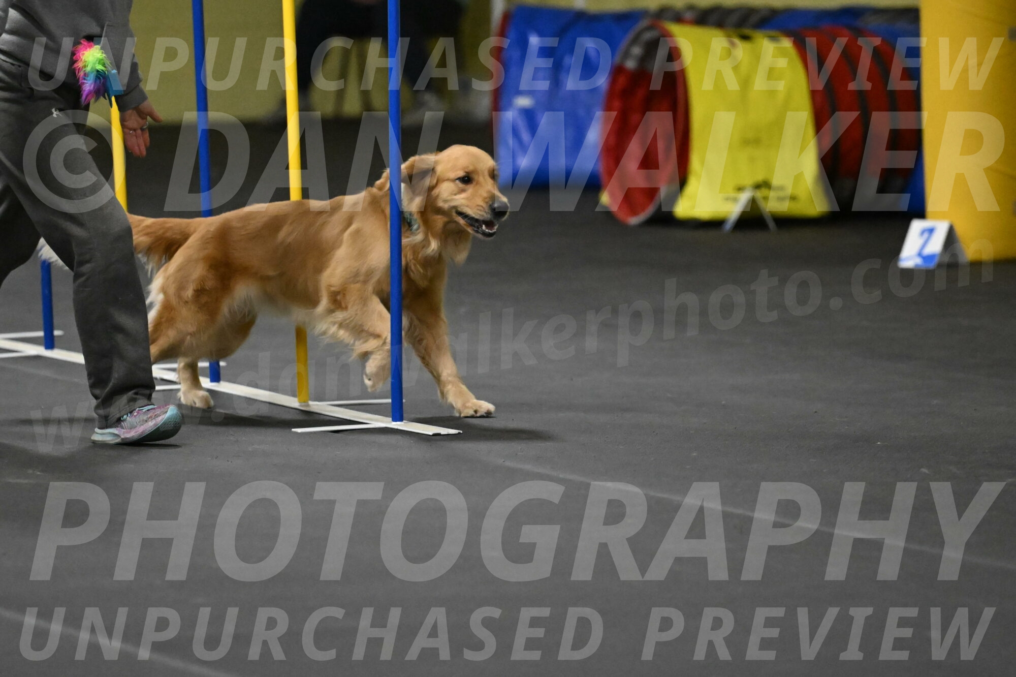 Valley-Johnson-10942