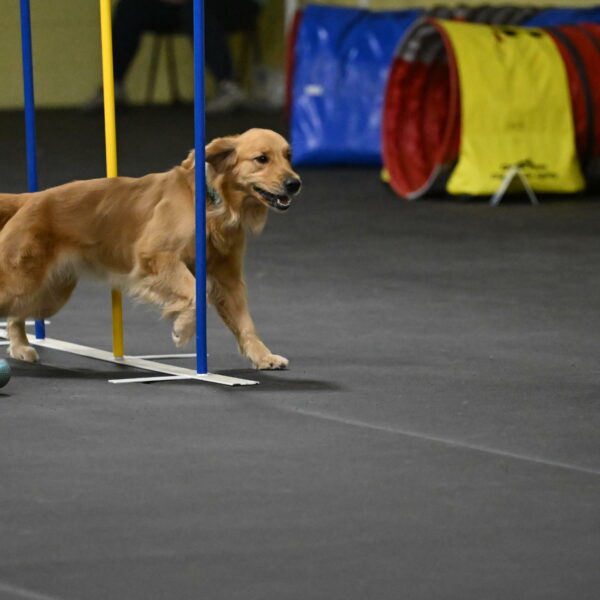 Valley-Johnson-10942