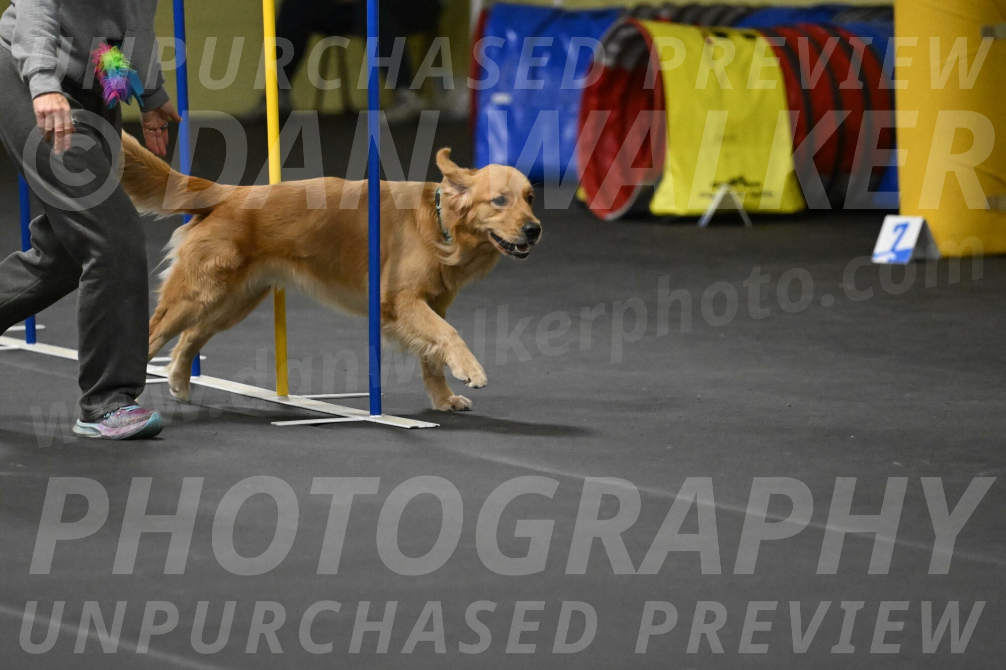 Valley-Johnson-10943