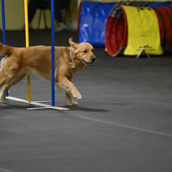 Valley-Johnson-10943