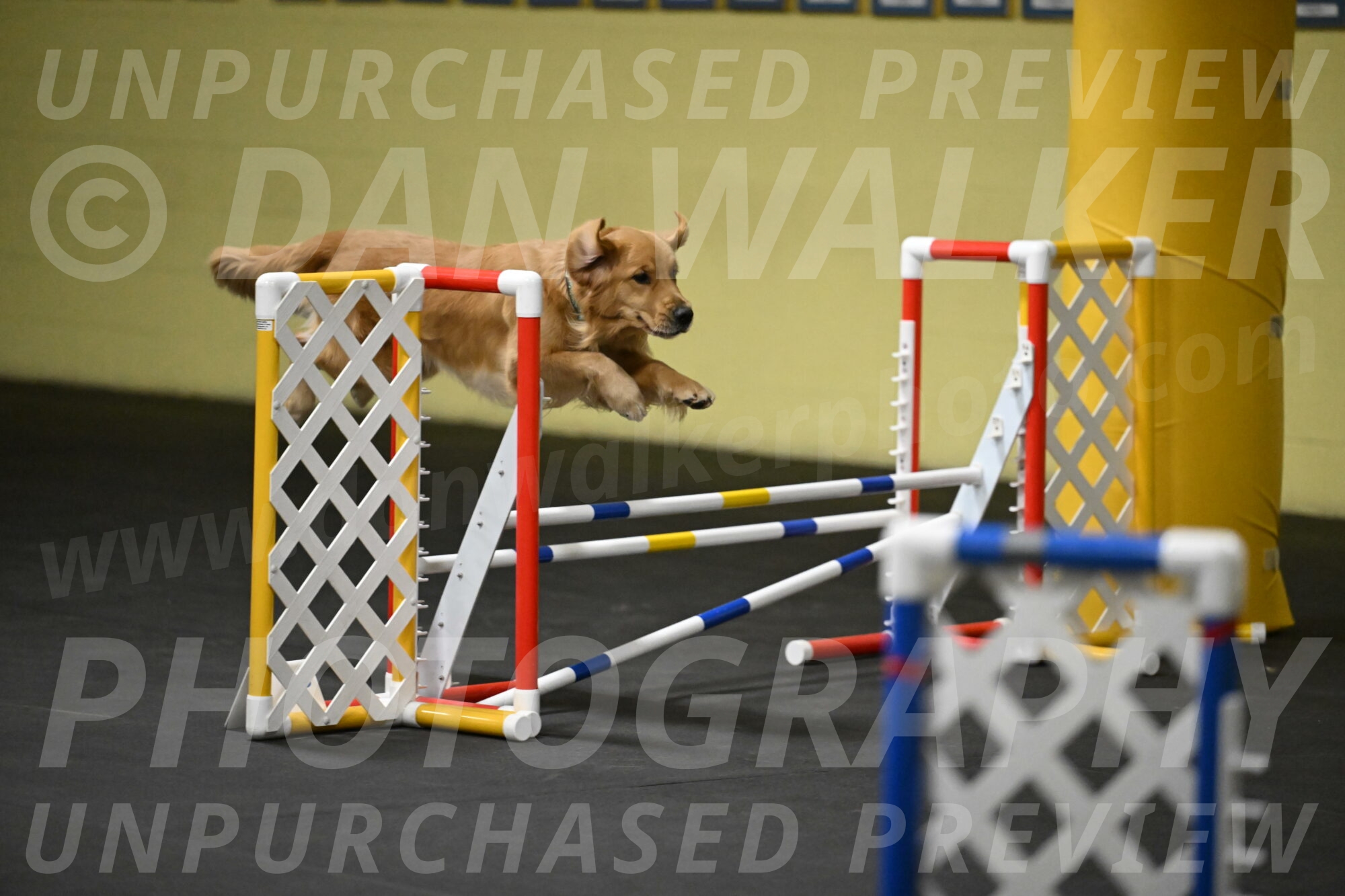 Valley-Johnson-10946